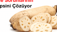 Bu Nebat Mide Meselelerinin Hepsini Çözüyor