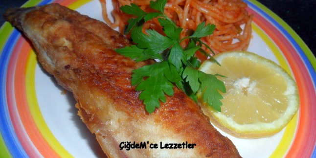 TOST MAKiNESiNDE BALIK