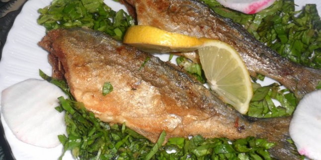 TAVADA SARIKANAT BALIĞI