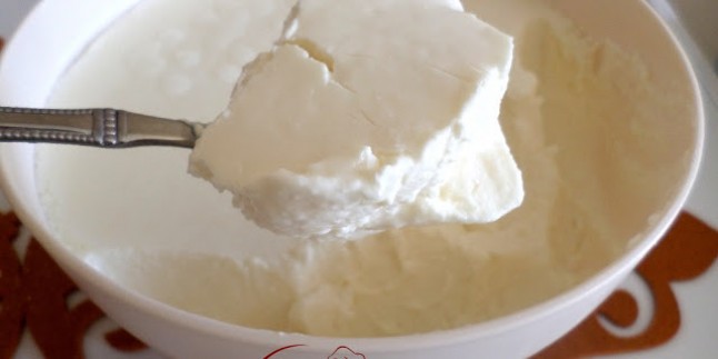 Ev Yoğurdu