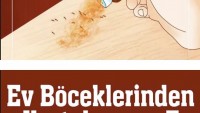EVDEKİ BÖCEKLERDEN KURTULMANIN DOĞAL YOLU